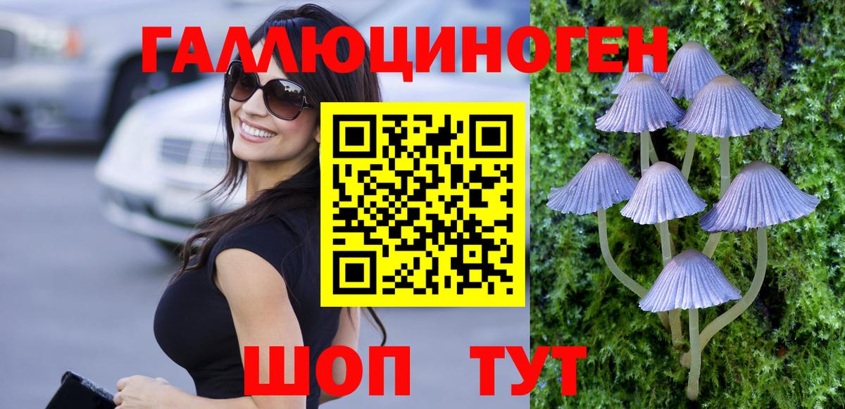 Алексин  Псилоцибиновые грибы прущие грибы  Вход с VPN  Галлюциногенные грибы Psilocybe 